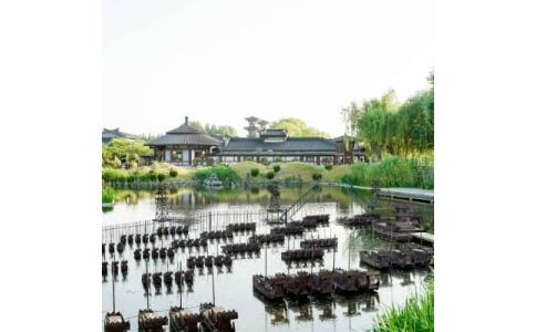 衡阳拓展基地-衡阳白马公园拓展训练基地